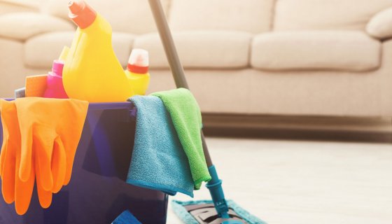 Ev Temizliği